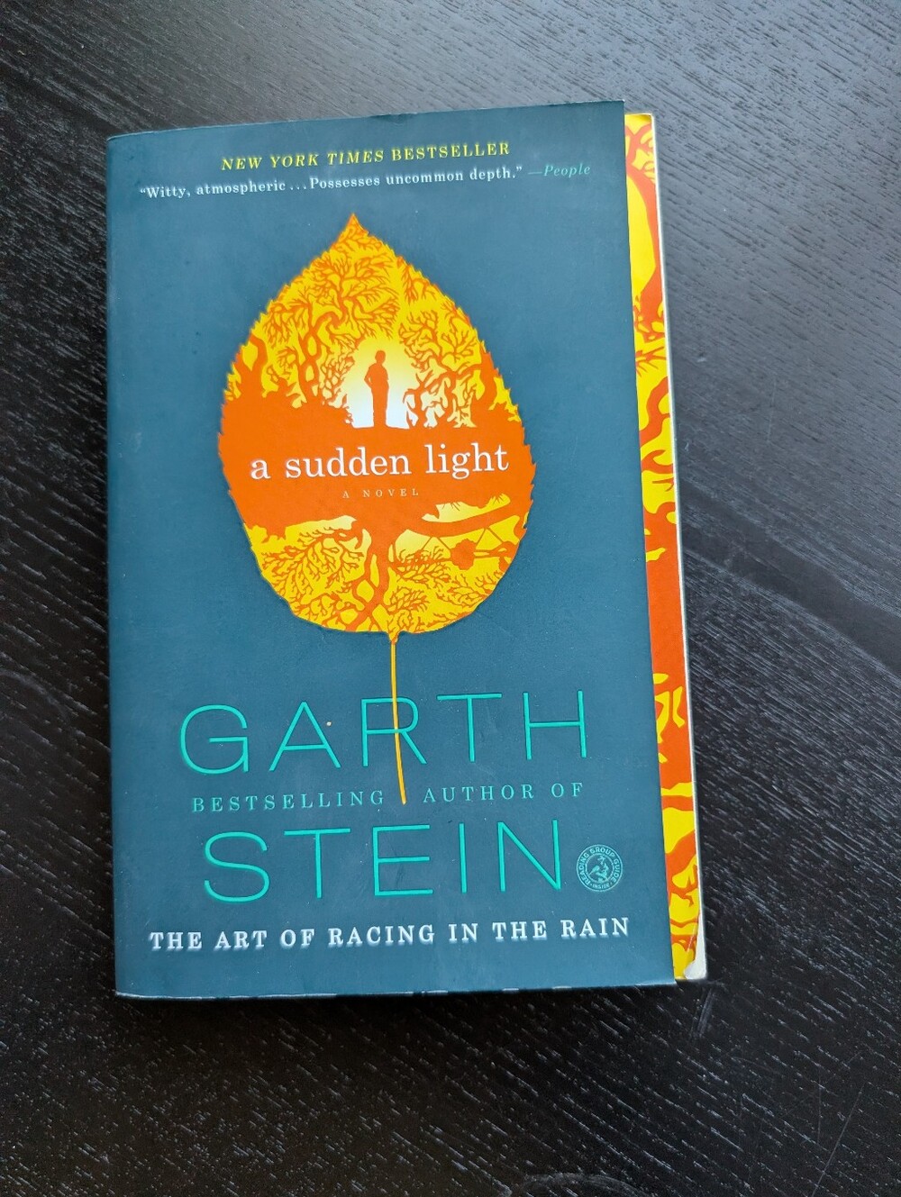 A Sudden Light by Garth Stein